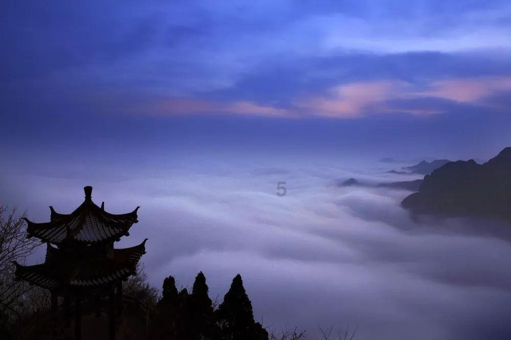 机智问答网页-深度解析遇不到深沉而热烈的爱+所以我觉得独自一人会更有意思+是什么意思?问题